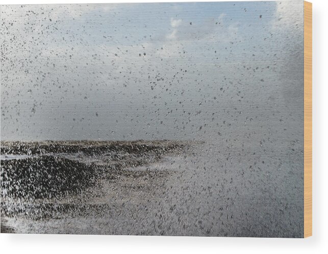 Seascape Coastal Storm Wood Print featuring the photograph Taste of the Sea by Michael Goyberg