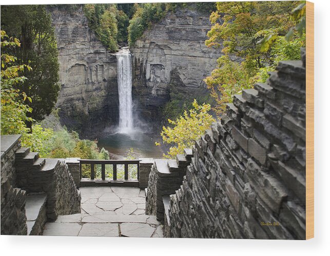 Taughannock Falls Wood Print featuring the photograph Taughannock Falls Overlook by Christina Rollo