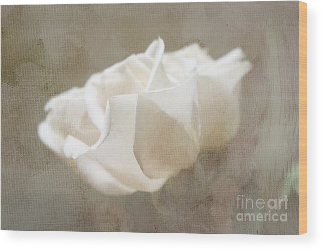 Rose Wood Print featuring the digital art Taupe Dreams by Jayne Carney