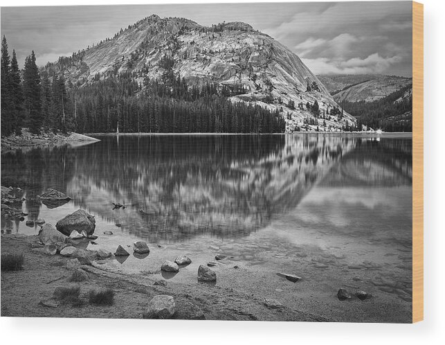 Landscape Wood Print featuring the photograph Tenaya Lake in Yosemite in BW by Joseph Urbaszewski