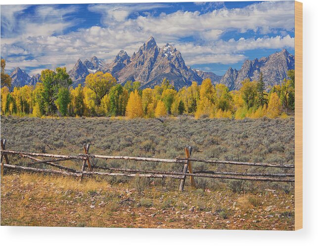 Tetons Wood Print featuring the photograph Teton Autumn by Greg Norrell