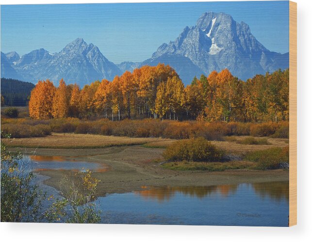 Relection Wood Print featuring the photograph Tetons Reflection by Dorothy Cunningham