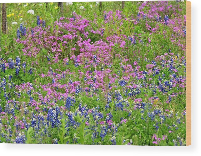 Texas Wood Print featuring the photograph Texas Bluebonnets and Wildflowers by Marilyn Burton