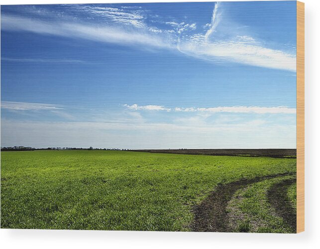 Field Wood Print featuring the photograph Texas Fields in Springtime by Mark McKinney