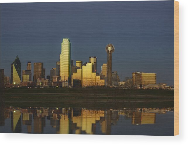 Dallas Wood Print featuring the photograph Texas Gold by Rick Berk