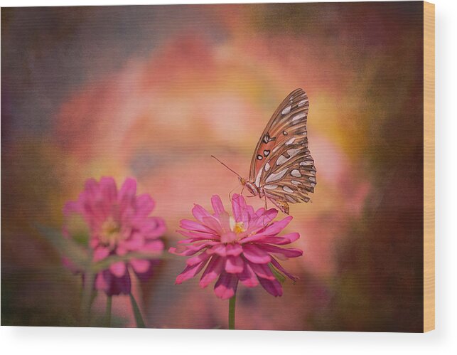 Joel Olives Wood Print featuring the photograph Textured Gulf Fritillary by Joel Olives