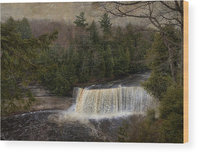 Beige Wood Print featuring the photograph Textured Tahquamenon River Michigan by Evie Carrier