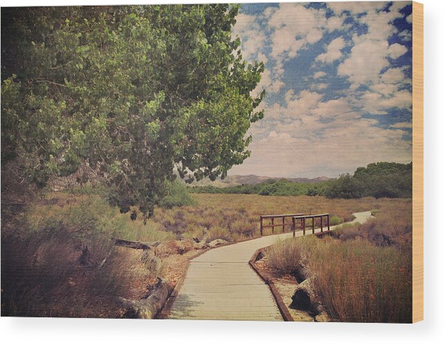 Big Morongo Canyon Preserve Wood Print featuring the photograph That Helping Hand by Laurie Search