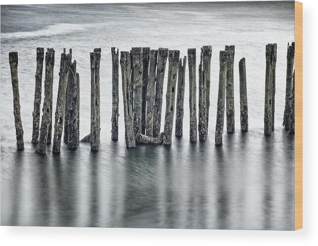 Boston Wood Print featuring the photograph The bones of a pier by Robert Davis