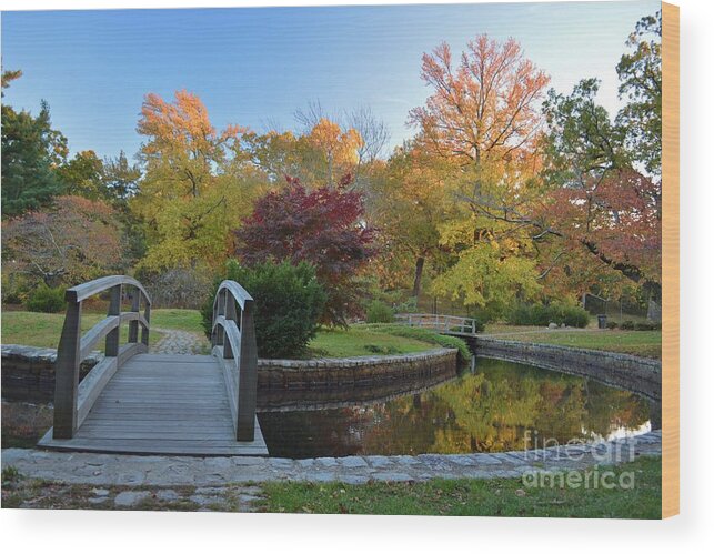 Nature Wood Print featuring the photograph The Bridge to Autumn by Tammie Miller