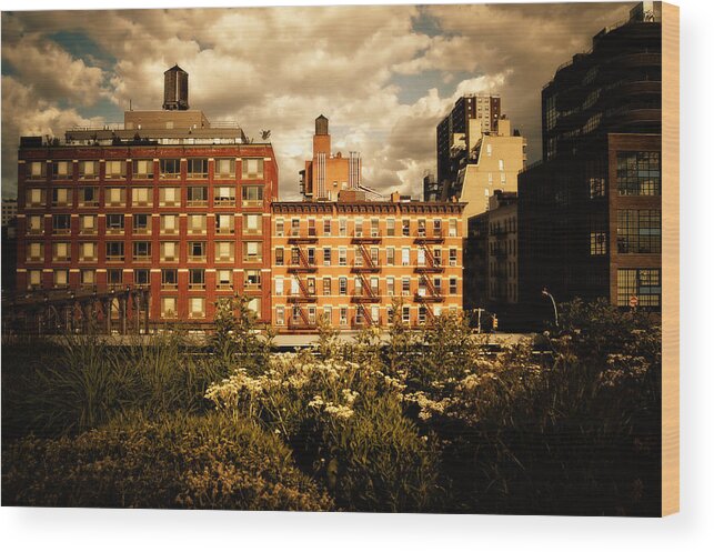 New York City Wood Print featuring the photograph The Chelsea Skyline - High Line Park - New York City by Vivienne Gucwa