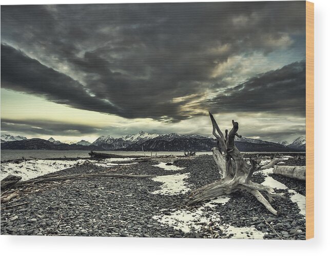 Alaska Wood Print featuring the photograph The Coming Storm by Michele Cornelius