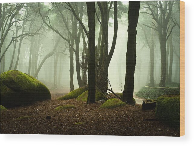 Nature Wood Print featuring the photograph The elf world by Jorge Maia