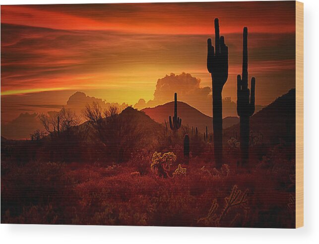 Desert Southwest Wood Print featuring the photograph The Essence of the Southwest by Saija Lehtonen