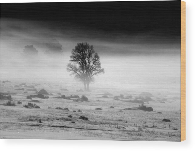 Fog Wood Print featuring the photograph The Fog by Shane Bechler