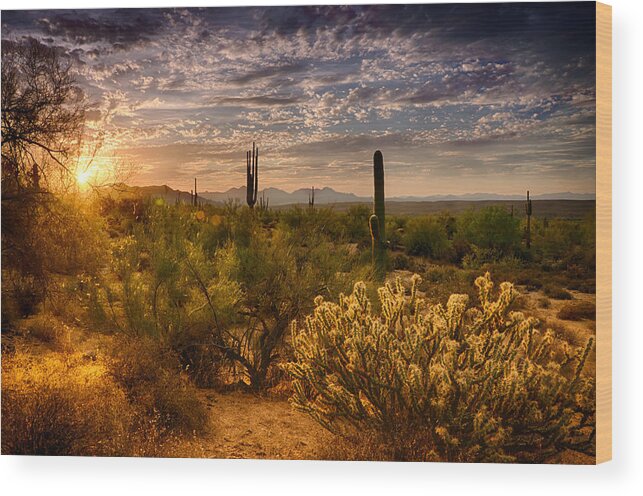 Sunset Wood Print featuring the photograph The Golden Southwest by Saija Lehtonen