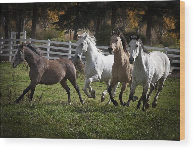 The Goldendale Four Wood Print featuring the photograph The Goldendale Four by Wes and Dotty Weber