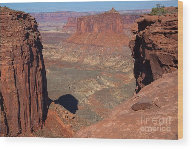 Canyonlands Wood Print featuring the photograph His Eye is on the Sparrow by Jim Garrison