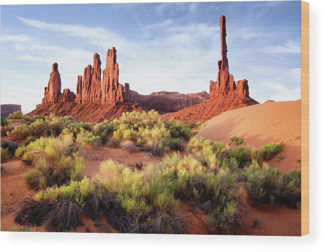 Scenics Wood Print featuring the photograph The Gossips And Totem Pole - Monument by Powerofforever