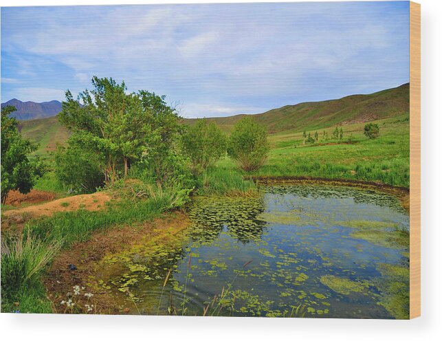 The Green Lake - Mostafa Tartak Wood Print featuring the photograph The Green Lake by Mostafa Tartak