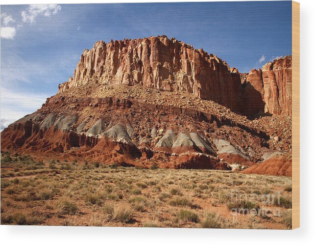 Desert Wood Print featuring the photograph The High Desert Capitol Reef national Park by Butch Lombardi