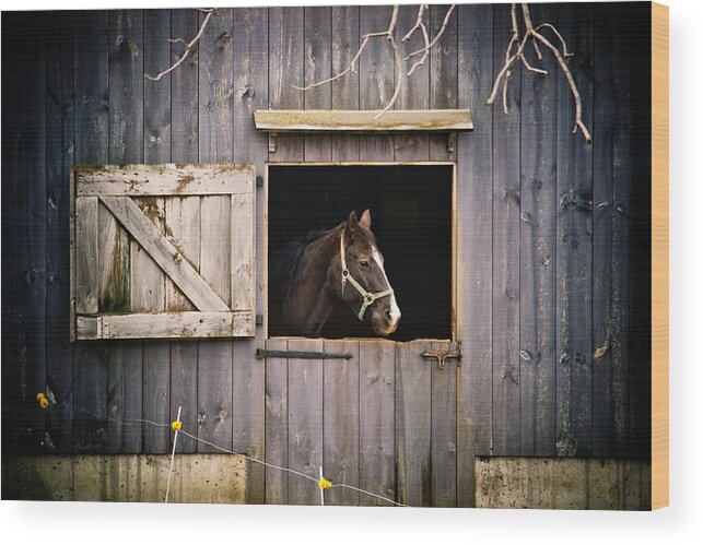 Barn Wood Print featuring the photograph The Horse by Kristy Creighton