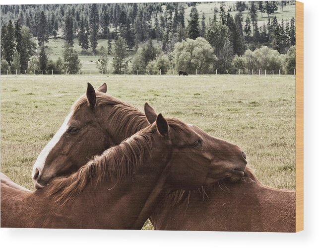 Hug Wood Print featuring the photograph The Hug by Monte Arnold