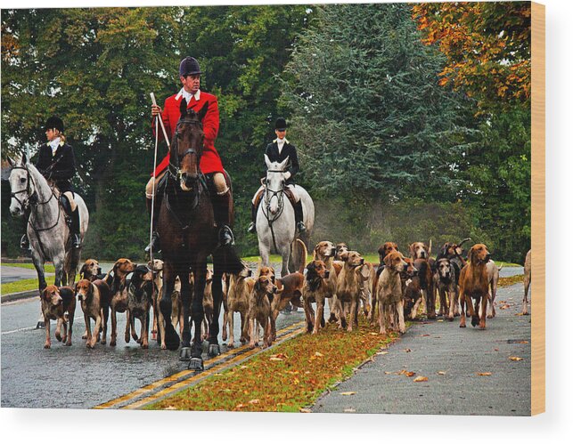 Horse Wood Print featuring the photograph The hunt is over. by Paul Scoullar