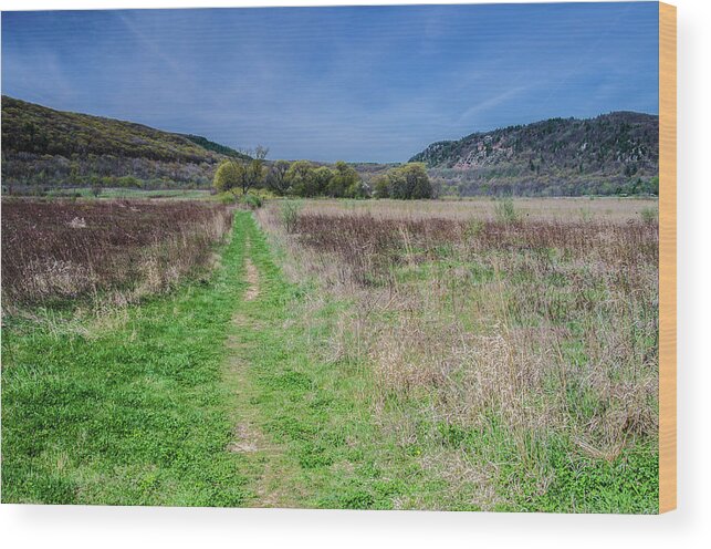 Landscape Canvas Prints Wood Print featuring the photograph The Ice Age Trail by Jonah Anderson