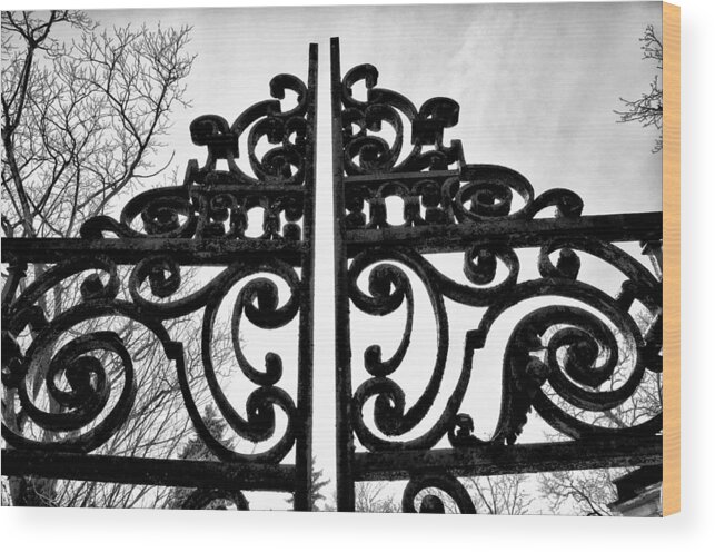 Iron Wood Print featuring the photograph The Iron Gate by Bill Cannon