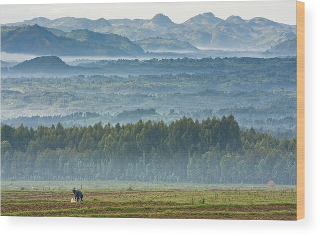Rwanda Wood Print featuring the photograph The Land of a Thousand Hills by Max Waugh