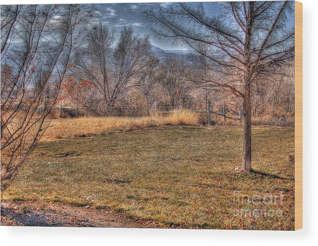 Colorado Wood Print featuring the photograph The last days of fall by Bob Hislop