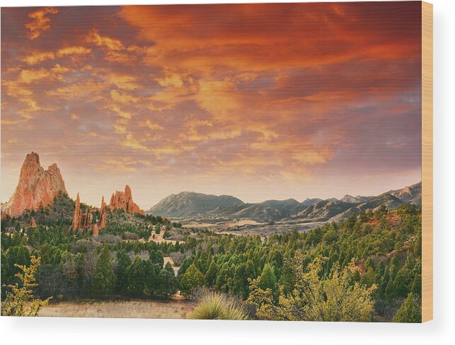 Garden Of The Gods Wood Print featuring the photograph The Light Of Day by Tim Reaves