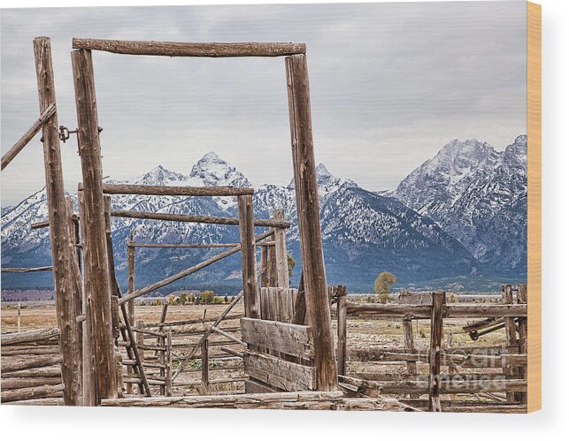 Teton National Park Print Wood Print featuring the photograph The Loading Gate by Jim Garrison