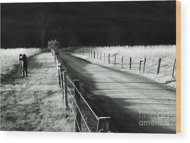 Sparks Lane Wood Print featuring the photograph The Lone Photographer by Douglas Stucky