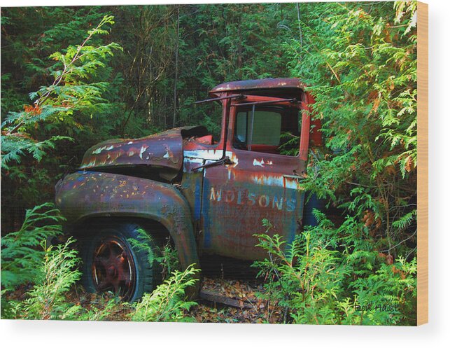 Beer Wood Print featuring the photograph The Lost Delivery by Ron Haist