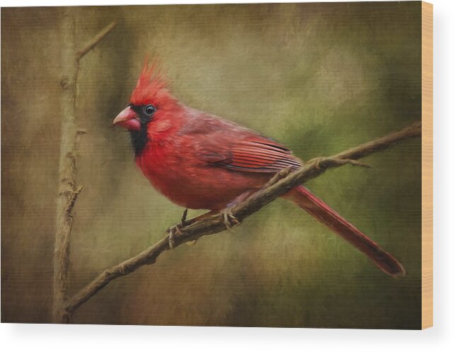 Cardinal Wood Print featuring the photograph The Messenger... by Richard Macquade