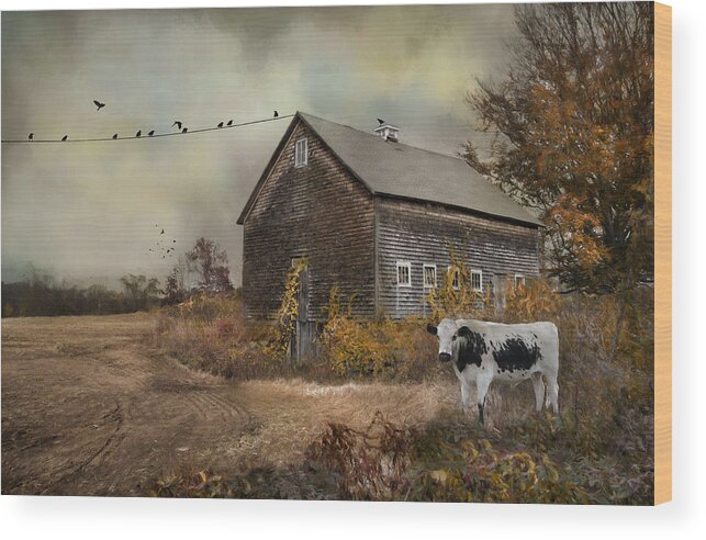 Farm Wood Print featuring the photograph The Misfit by Robin-Lee Vieira