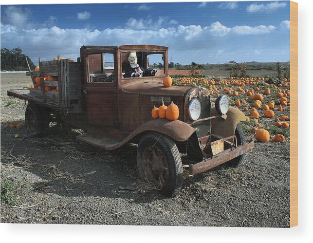 Antique Wood Print featuring the photograph The Old Pumpkin Patch by Michael Gordon
