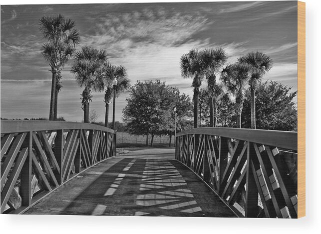 Palms Wood Print featuring the photograph The other side by Chauncy Holmes