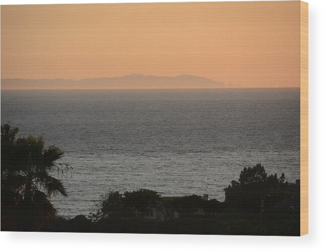 Southern California Wood Print featuring the photograph The Pacific by Michael Albright