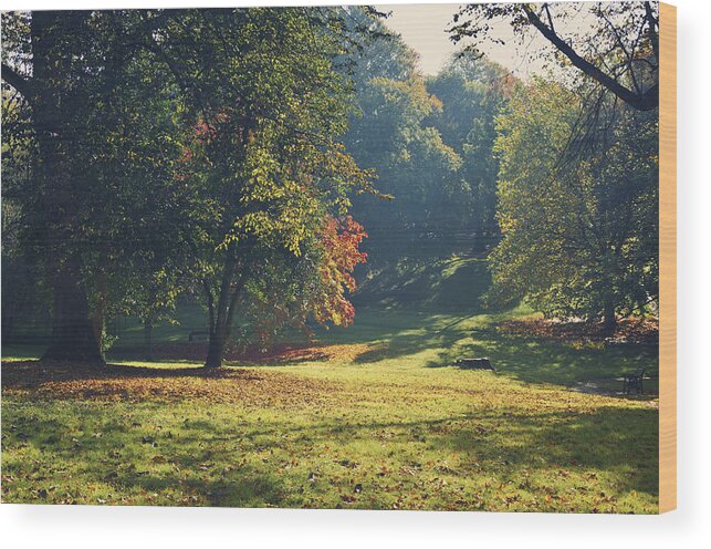 Park Wood Print featuring the photograph The park in autumn by Nick Barkworth