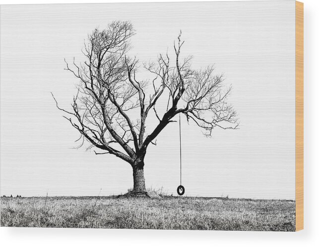 Tree Wood Print featuring the photograph The Playmate - Old Tree And Tire Swing On An Open Field by Gary Heller