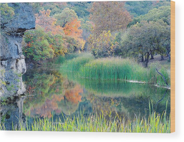 Lost Maples Wood Print featuring the photograph The Pond at Lost Maples State Natural Area - Texas Hill Country by Silvio Ligutti