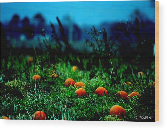 Pumkins Wood Print featuring the photograph The Pumpkin Patch by Lesa Fine