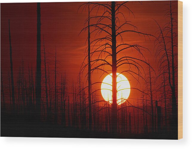 Buffalo Creek Fire Photograph; Buffalo Creek Fire Canvas Print; Red Sun Photograph Wood Print featuring the photograph The Red Planet by Jim Garrison