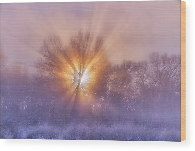 Christmas Wood Print featuring the photograph The Rising by Darren White