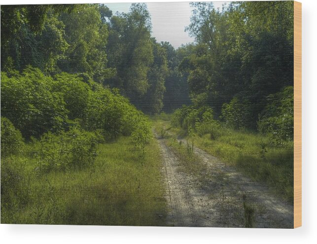 Brandywine Island Wood Print featuring the photograph The Road Less Travelled by DArcy Evans