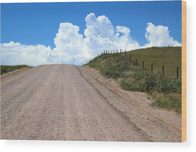 Road Wood Print featuring the photograph The Road To Nowhere by Shane Bechler