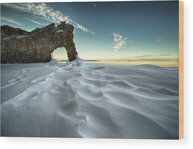 Bay Wood Print featuring the photograph The Sleeping Giants Sea Lion by Jakub Sisak